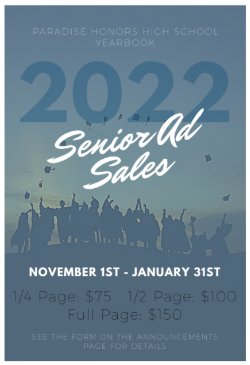 Senior Ad Flyer